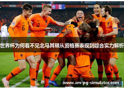 世界杯为何看不见北马其顿从资格赛表现到综合实力解析 世界杯为何看不见北马其顿从资格赛表现到综合实力解析