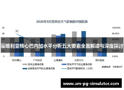 塞维利亚核心巴内加水平分析五大要素全面解读与深度探讨 塞维利亚核心巴内加水平分析五大要素全面解读与深度探讨