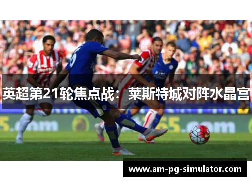 英超第21轮焦点战:莱斯特城对阵水晶宫 英超第21轮焦点战:莱斯特城对阵水晶宫