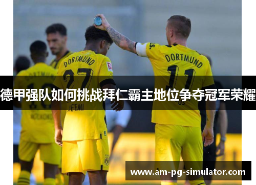 德甲强队如何挑战拜仁霸主地位争夺冠军荣耀 德甲强队如何挑战拜仁霸主地位争夺冠军荣耀