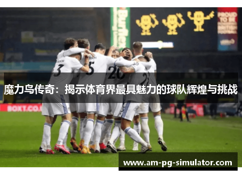 魔力鸟传奇:揭示体育界最具魅力的球队辉煌与挑战 魔力鸟传奇:揭示体育界最具魅力的球队辉煌与挑战