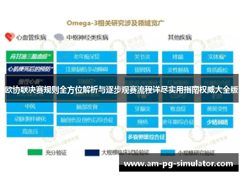 欧协联决赛规则全方位解析与逐步观赛流程详尽实用指南权威大全版 欧协联决赛规则全方位解析与逐步观赛流程详尽实用指南权威大全版