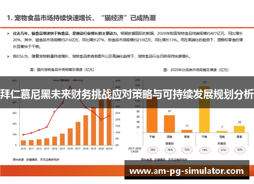 拜仁慕尼黑未来财务挑战应对策略与可持续发展规划分析